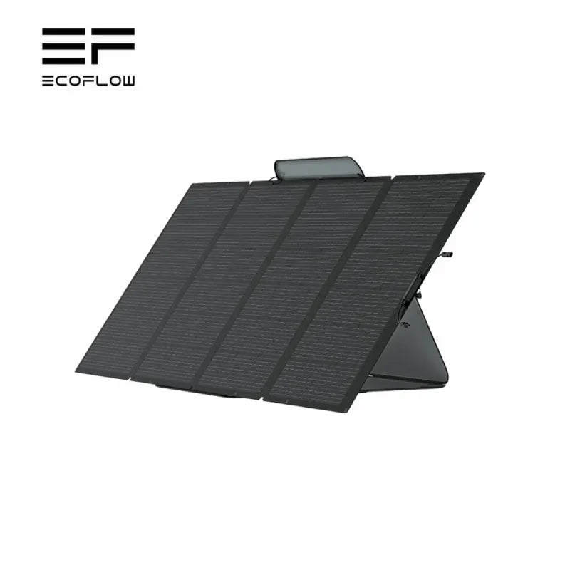 EcoFlow 220W Bifacial Solar Panel